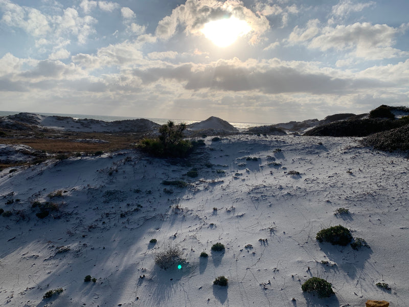 Wandering Dunes: Winter and Warmth