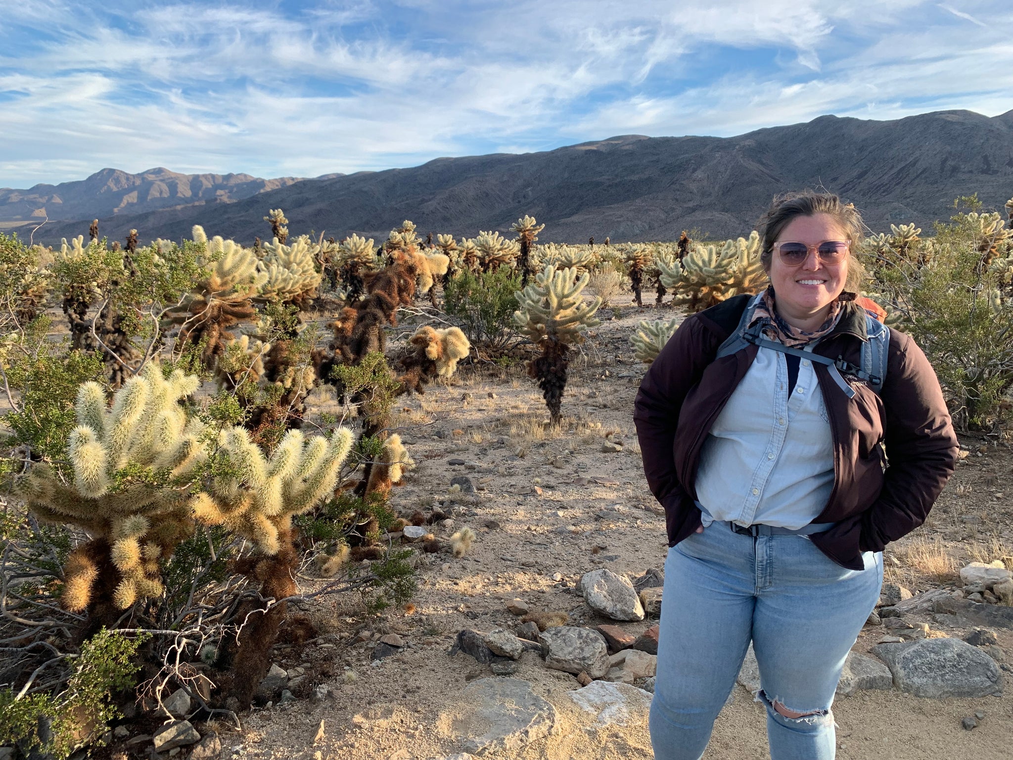 News – Between the Evergreens Art by Elizabeth Lang