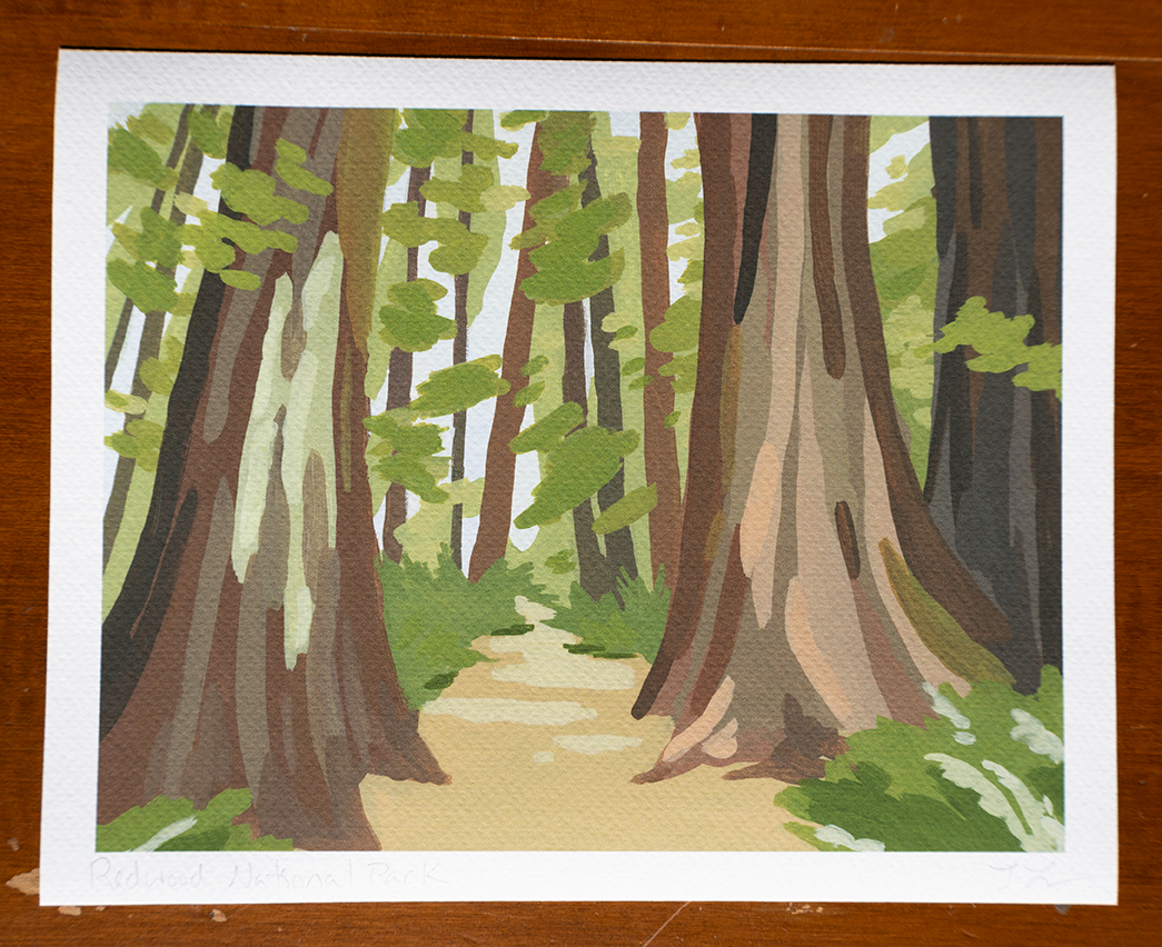 Redwood National Park Print