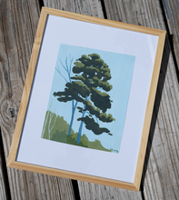 Load image into Gallery viewer, Loblolly Pines original on paper
